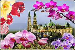 Klosterneuburg - výstava orchideí-6